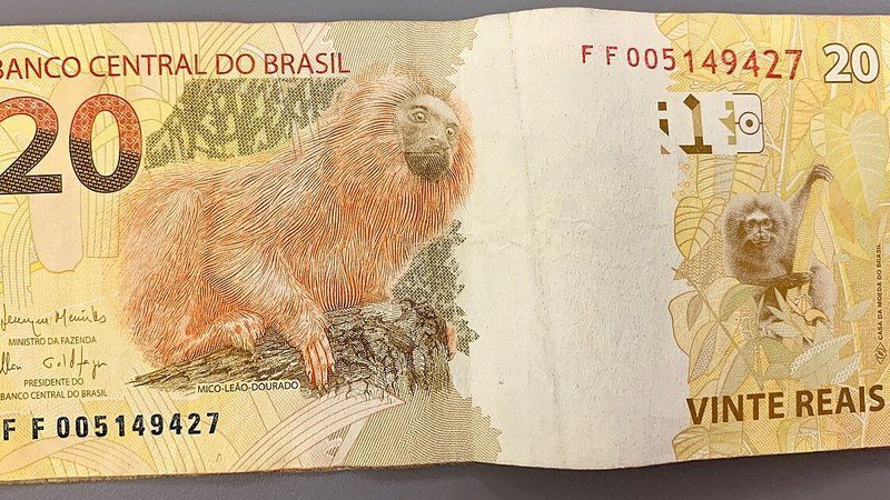O paciente que chega ao consultório por causa das bets quase nunca chega falando de aposta — chega falando de dívida