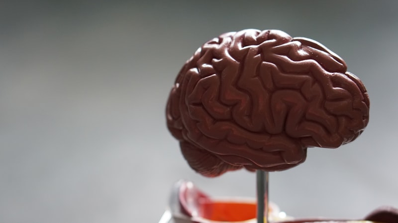 O câncer que mata mais que próstata e mama juntos — e o Brasil vai tentar diagnosticar cedo