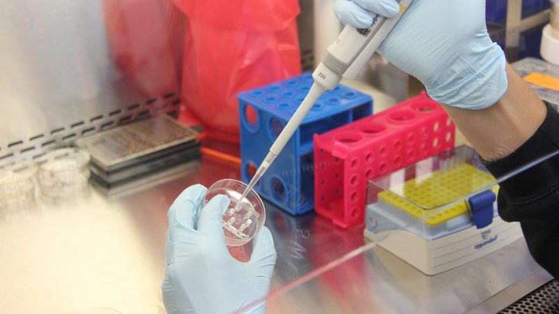 A primeira vacina de RNA mensageiro feita no Brasil vai para teste em 2027 — em 90 pessoas, contra uma doença que já tem vacina